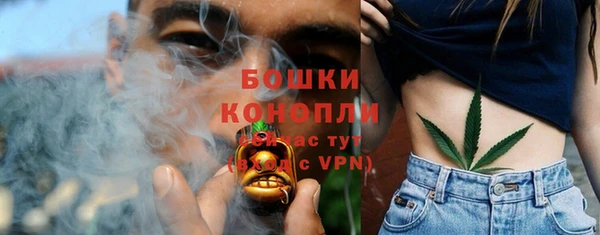 стафф Иннополис