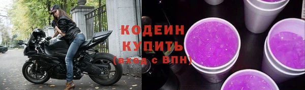 стафф Иннополис