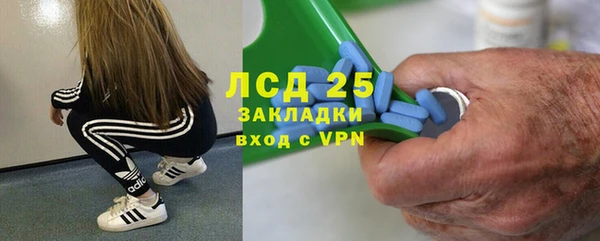 мяу мяу мука Инта