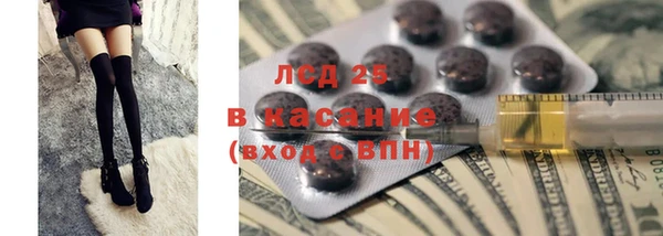стафф Иннополис