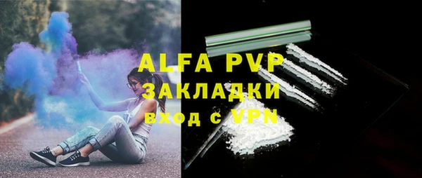 apvp Инсар