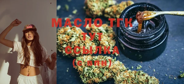 apvp Инсар