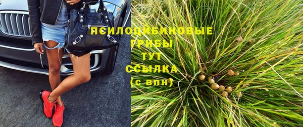 apvp Инсар