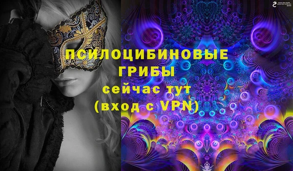 apvp Инсар