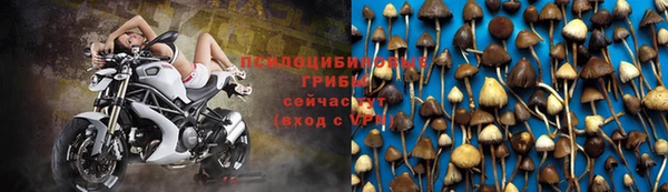 мяу мяу мука Инта
