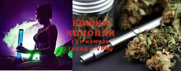 стафф Иннополис