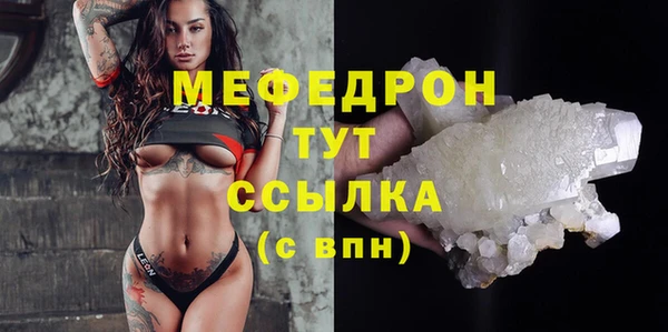 apvp Инсар
