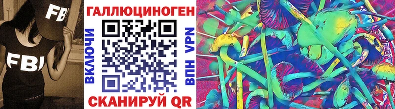 Купить  Кировск  Псилоцибиновые грибы Cubensis 